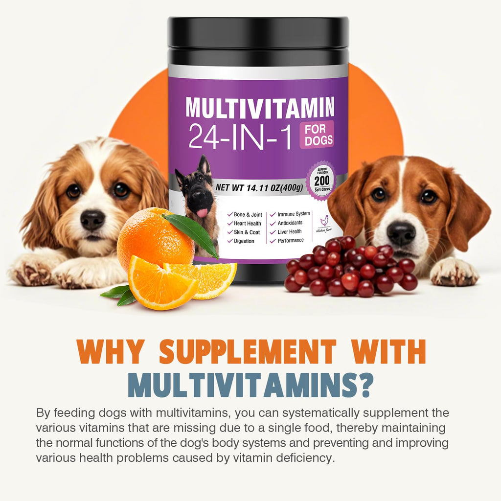 24-in-1 Daily Dog Multivitamin Chews – Complete Support for Joints, Gut, Skin & Overall Health