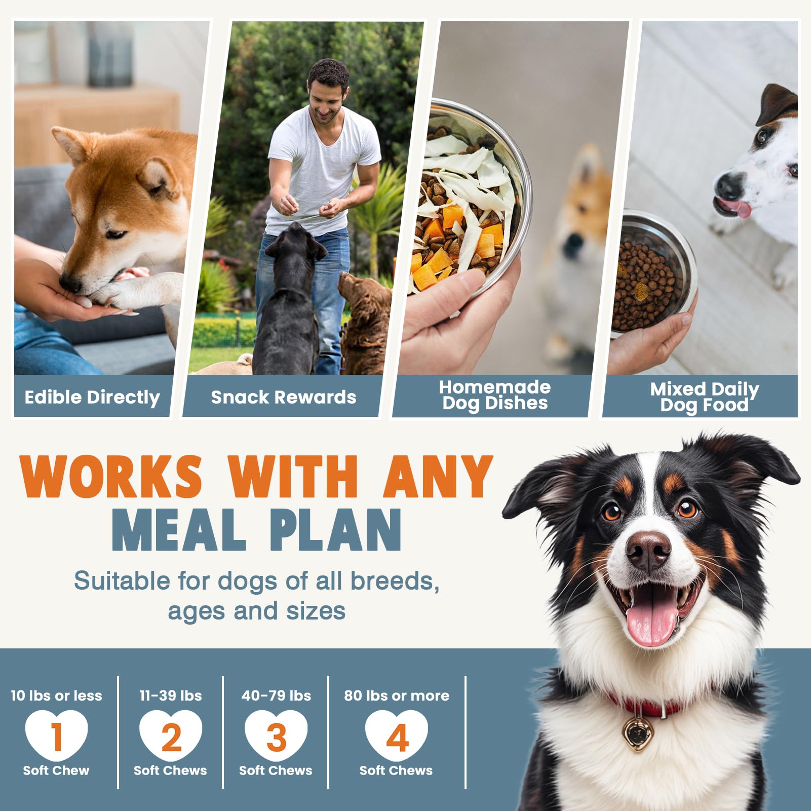 24-in-1 Daily Dog Multivitamin Chews – Complete Support for Joints, Gut, Skin & Overall Health